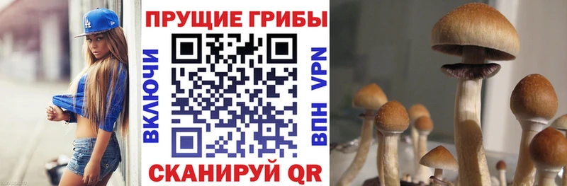 Галлюциногенные грибы Magic Shrooms  Купить закладки  Дальнегорск 